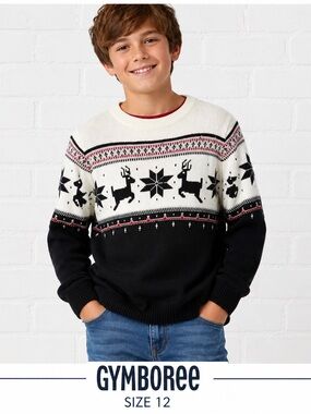 Gymboree Boys Fair Isle Reindeer Christmas Sweater 12 Holiday Knit/12
